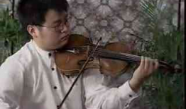 小提琴演奏视频欣赏,小提琴演奏视频中的音乐魅力赏析