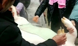 农村杀猪视频,传统习俗与现代生活的碰撞