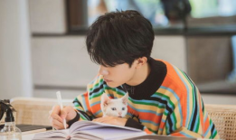 jjzz视频,探索未知领域的视觉奇观