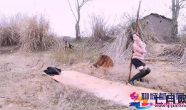 户外野战视频,户外战场上的惊心动魄瞬间