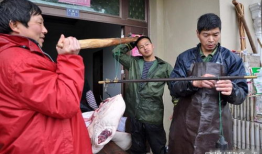 农村杀猪视频,传统习俗与现代生活的碰撞