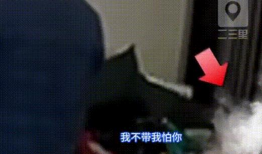 公公和儿媳视频,亲情瞬间感动网友