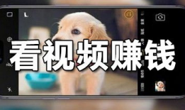 看视频赚钱,轻松实现财富增长的全新途径