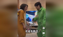 搞搞视频,揭秘生活趣味瞬间，带你领略日常欢乐时光