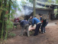 农村杀猪视频,传统习俗与现代生活的碰撞