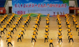 第十套广播体操视频完整版,活力四溢，健康生活新篇章