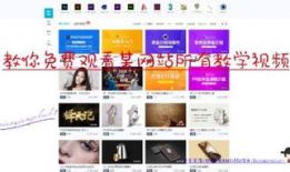 网站视频下载,轻松掌握网站视频下载技巧