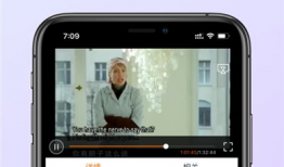 在线中文视频,在线中文视频深度解析