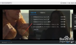 在线中文视频,在线中文视频深度解析